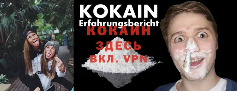 где можно купить   Новоуральск  Cocaine VHQ 